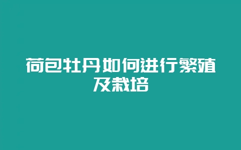荷包牡丹如何进行繁殖及栽培-会东网