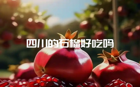 四川的石榴好吃吗插图 四川的石榴好吃吗插图
