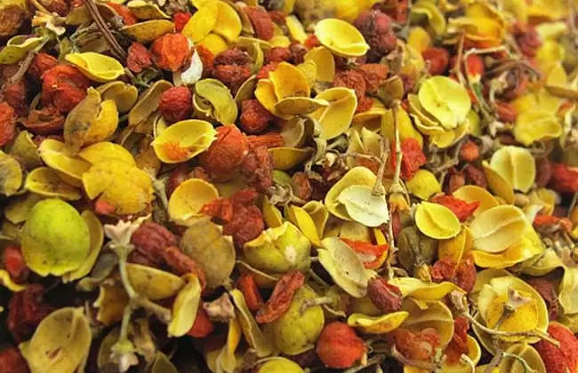 合欢花茶的功效与作用-会东网