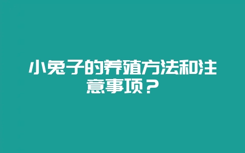 小兔子的养殖方法和注意事项？-会东网
