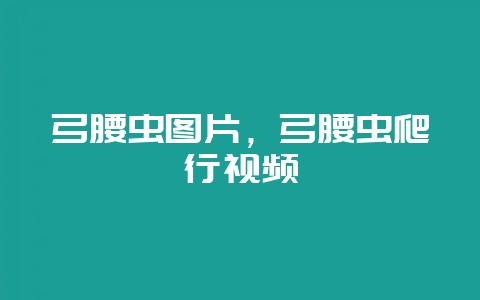 弓腰虫图片，弓腰虫爬行视频-会东网