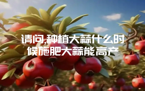 请问,种植大蒜什么时候施肥大蒜能高产-会东网