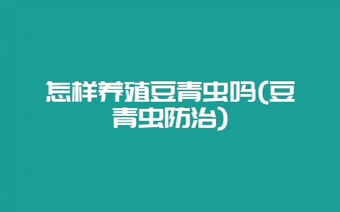 怎样养殖豆青虫吗(豆青虫防治)-会东网