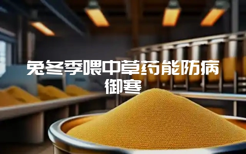 兔冬季喂中草药能防病御寒-会东网