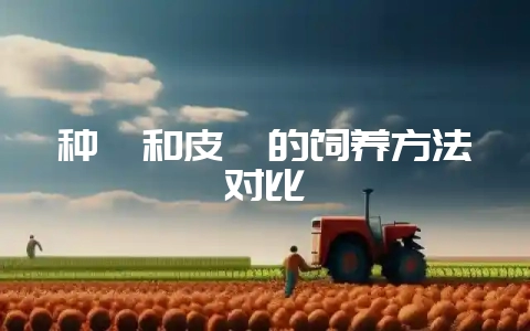 种貂和皮貂的饲养方法对比-会东网