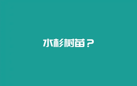 水杉树苗？-会东网