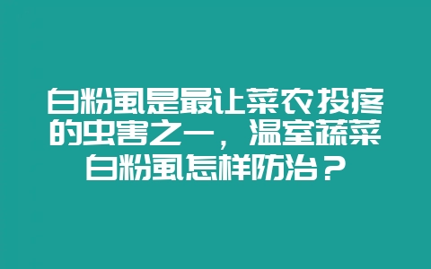 白粉虱是最让菜农头疼的虫害之一，温室蔬菜白粉虱怎样防治？-会东网