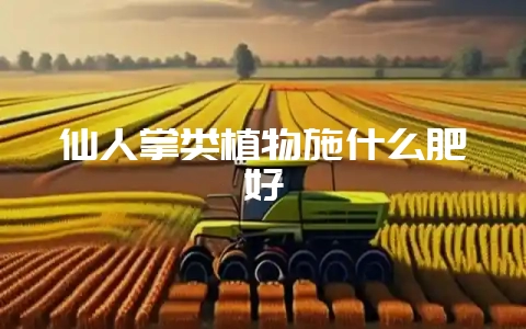 仙人掌类植物施什么肥好-会东网