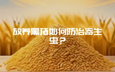 放养黑猪如何防治寄生虫？-会东网