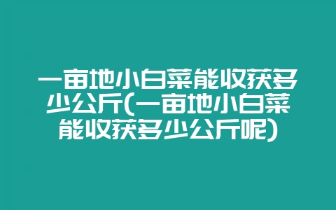 一亩地小白菜能收获多少公斤(一亩地小白菜能收获多少公斤呢)-会东网