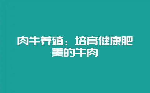 肉牛养殖：培育健康肥美的牛肉-会东网