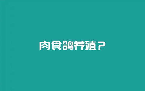 肉食鸽养殖？-会东网
