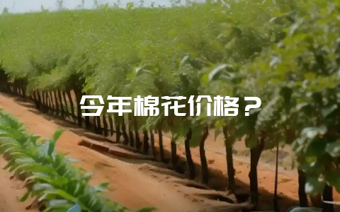 今年棉花价格？-会东网