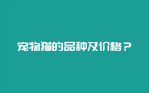 宠物猫的品种及价格？-会东网