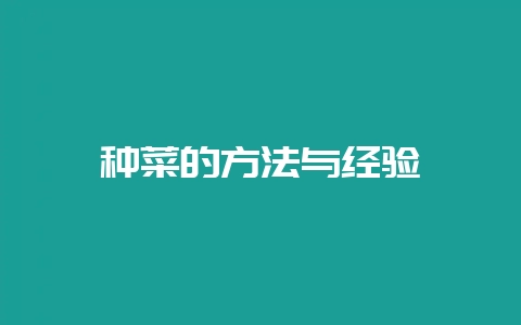种菜的方法与经验-会东网