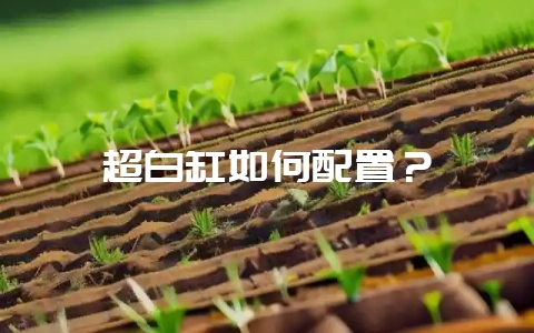 超白缸如何配置？-会东网