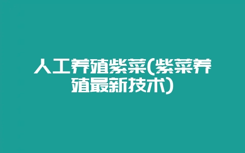 人工养殖紫菜(紫菜养殖最新技术)-会东网
