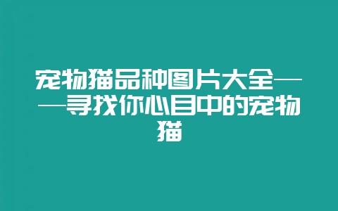 宠物猫品种图片大全——寻找你心目中的宠物猫-会东网