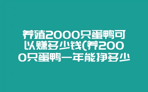 养殖2000只蛋鸭可以赚多少钱(养2000只蛋鸭一年能挣多少钱)-会东网