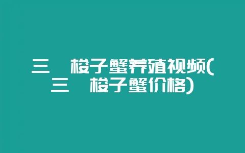 三疣梭子蟹养殖视频(三疣梭子蟹价格)-会东网