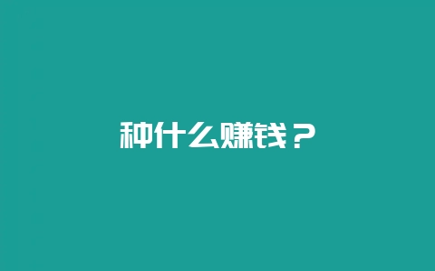 种什么赚钱？-会东网