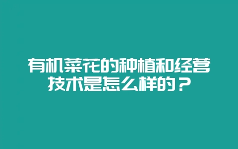 有机菜花的种植和经营技术是怎么样的？-会东网