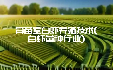 育苗室白虾养殖技术(白虾苗种行业)插图 育苗室白虾养殖技术(白虾苗种行业)插图