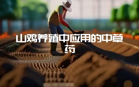 山鸡养殖中应用的中草药-会东网