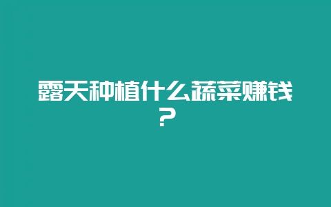 露天种植什么蔬菜赚钱？-会东网