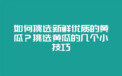 如何挑选新鲜优质的黄瓜？挑选黄瓜的几个小技巧-会东网