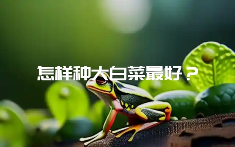 怎样种大白菜最好？-会东网