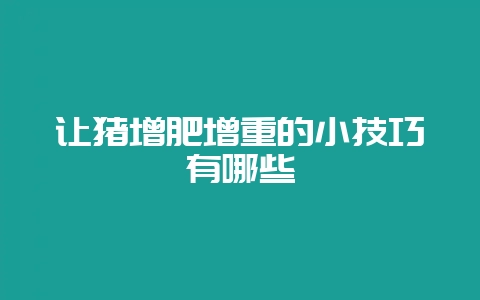 让猪增肥增重的小技巧有哪些-会东网