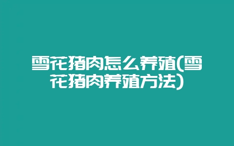 雪花猪肉怎么养殖(雪花猪肉养殖方法)-会东网