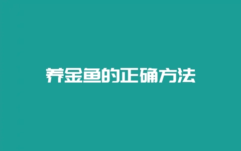养金鱼的正确方法-会东网