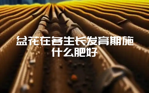 盆花在各生长发育期施什么肥好-会东网