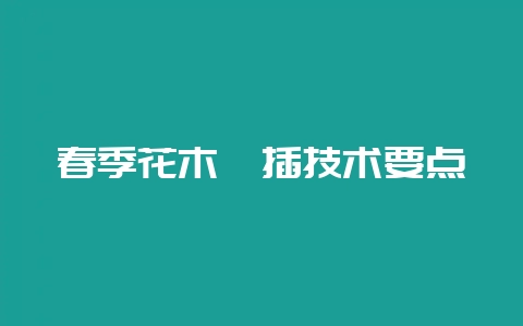 春季花木扦插技术要点-会东网