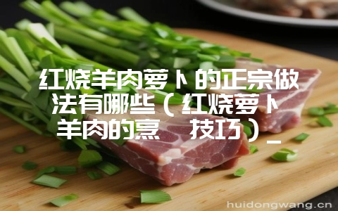 红烧羊肉萝卜的正宗做法有哪些(红烧萝卜炖羊肉的烹饪技巧)_插图 红烧羊肉萝卜的正宗做法有哪些(红烧萝卜炖羊肉的烹饪技巧)_插图
