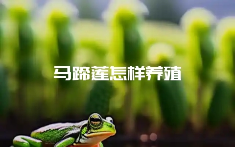 马蹄莲怎样养殖-会东网