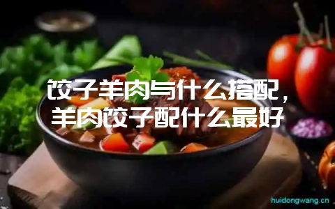 饺子羊肉与什么搭配，羊肉饺子配什么最好-会东网