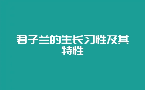 君子兰的生长习性及其特性-会东网