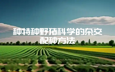 种特种野猪科学的杂交配种方法-会东网