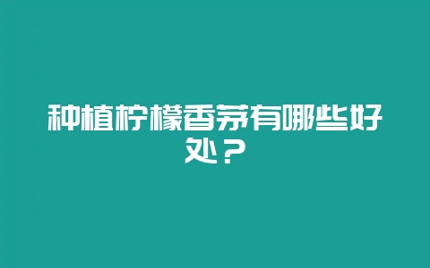 种植柠檬香茅有哪些好处？-会东网
