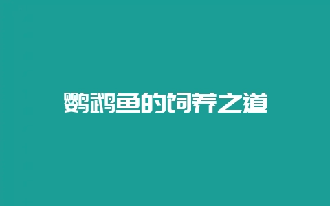 鹦鹉鱼的饲养之道-会东网