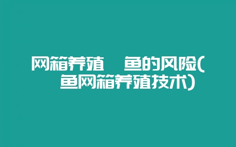 网箱养殖鳊鱼的风险(鮰鱼网箱养殖技术)-会东网