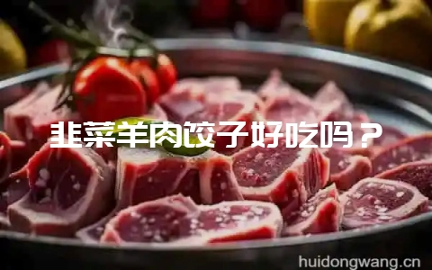 韭菜羊肉饺子好吃吗？-会东网