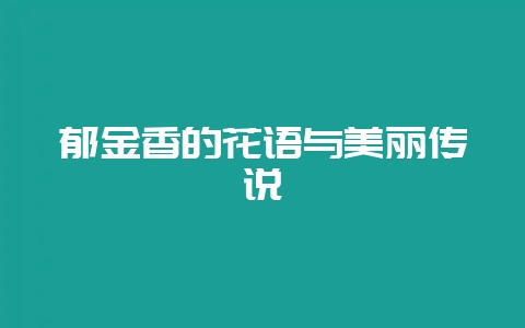 郁金香的花语与美丽传说-会东网