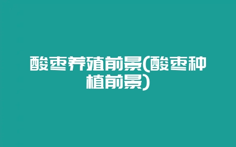 酸枣养殖前景(酸枣种植前景)-会东网