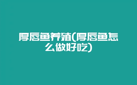 厚唇鱼养殖(厚唇鱼怎么做好吃)-会东网