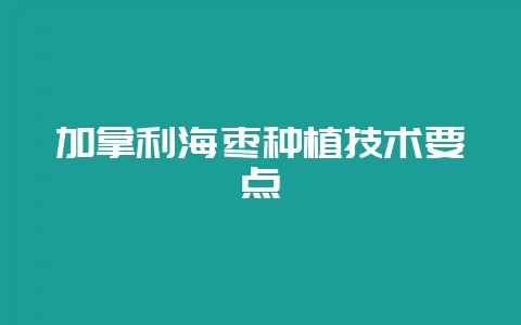 加拿利海枣种植技术要点-会东网