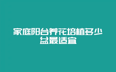 家庭阳台养花培植多少盆最适宜-会东网